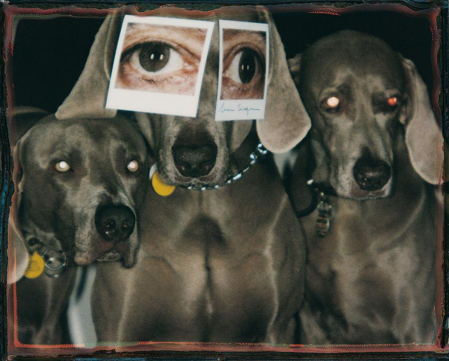 Famous Eyes